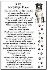 Border Collie Gift - RIP my Faithful Friend flexible Fridge Magnet 6 x 4 inches - Picture 1 of 1