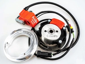 SELETTRA A11 analogue racing ignition - Suzuki 60/65/80/85/100/125/250 (75-2012) - Picture 1 of 1