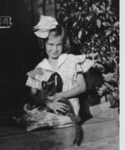 4N Photograph Dark Shadow Pet Cat Kitten Portrait Porch Steps 1933 San Diego - Picture 1 of 4