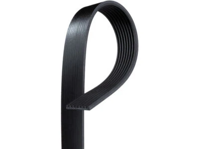 Cinturón multi costilla aire acondicionado Delco 87398RGKM 2000 para Ford E350 Super Duty 1999-2001 Foto 1 de 2