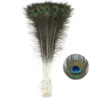 Soarer Long Peacock Feathers Bulk- 25pcs 32-35 inches Feathers for Vase, Holi... - Image 1 of 4