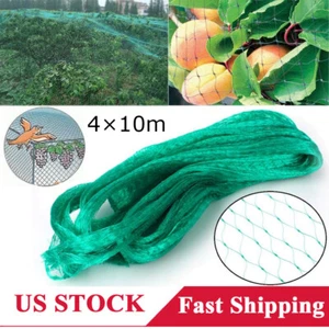 13 X 33FT Heavy Duty Anti-Bird Netting Garden Plant Fruit Tree Protect Sparrow - Picture 1 of 12