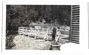 Belknap Springs, O Eugene, Oregón antigua postal RPPC, Belknap Hot Springs - Imagen 1 de 2