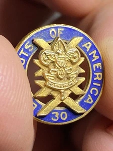 Vintage 30 YEAR VETERAN Boy Scouts of America Uniform Badge PIN BSA Lapel - Picture 1 of 5