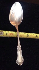 Paw Paw Lake No. 55 Spoon SS6617 - Picture 1 of 12