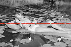 F000755 A Young Woman On An Air Matress On A Lake Bdm Germany 1930S