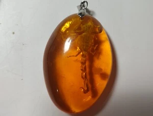 Scorpion In Amber Resin Pendant - Picture 1 of 6