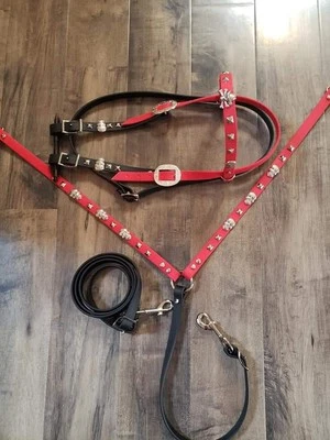 Juego de Tachuelas Biothane Rojo Personalizado - Cabezal y Cuello de Pecho  Foto 1 de 2