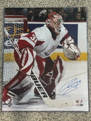 Foto firmada por Curtis Joseph Detroit Red Wings 16X20 tinta de hockey certificado de autenticidad Foto 1 de 3