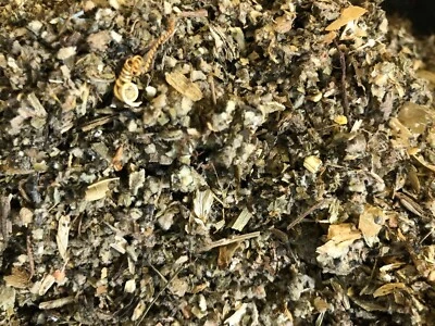 No.39 Mix -Wild Lettuce Lobelia Cal Poppy Mullein Passionflower Hops Lemon- 4 oz - Image 1 of 4