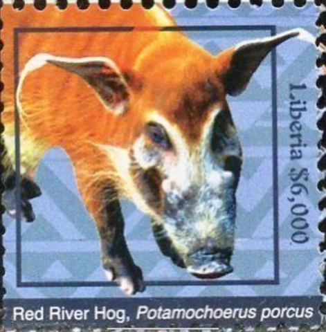 Liberia #Mi7088 MNH CV€150.00 2017 Red River Hog Potamochoerus porcus [3189] Cover