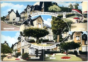 CP 61 ORNE - Tessé-la-Madeleine - Hôtel le Pavillon - Multivues colorisées - Bild 1 von 1
