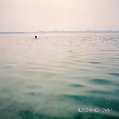 Blue Cranes Swim (CD) - Bild 1 von 2