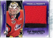 2011-12 ITG Heroes & Top Prospects DAVID HONZIK 2 Color Jersey Patch RC Expo 1/1