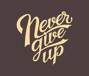 Never Give Up Wall Art Decal Home Wall Sticker Decor Household Vinyl Business - Picture 1 of 38