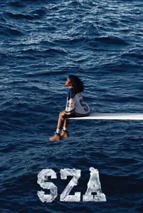 COPERTINA ALBUM SZA SOS 24X36 POSTER MUSICA KILL BILL SNOOZE R&B POP HIP HOP REGALO!!!! - Foto 1 di 1