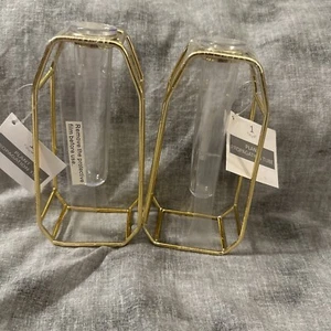 2x Schreibtisch Glas Pflanze Vermehrungsstation Röhren Pflanze Terrarium in Messing X2 - Bild 1 von 2