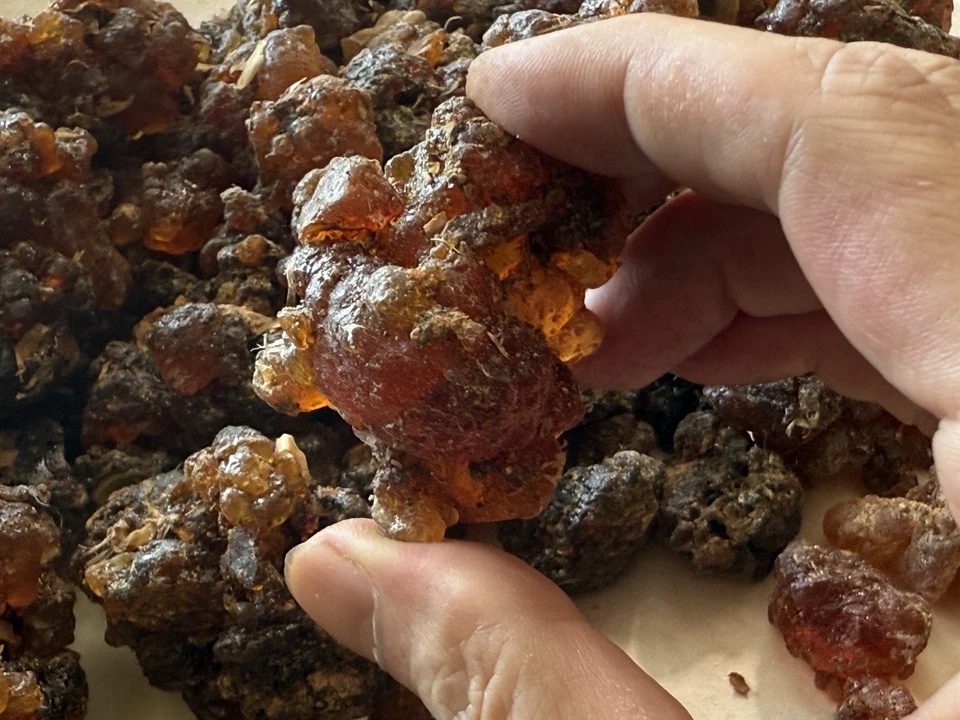 Incienso Premium de resina de mirra Commiphora Kua de primer grado Socotra, Yemen (8 oz.) Foto 1 de 4