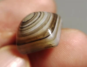 tibetan real antique medicine dzi bead buddha eye amulet 12 gzi luk mik agate A2 - Picture 1 of 8