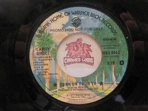 Promo! Larry Groce – Turn On Your TV / The Hog And Dog Faction, 45 RPM VG+ (25K) - Picture 1 of 2