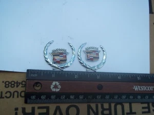 1980-1992 Cadillac Fleetwood Brougham Rear Seat Courtesy Light emblem - Picture 1 of 5