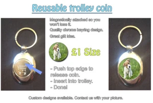 Jack Russell On Grass - Magnetischer Schlüsselanhänger Münze Medaille für Trolley - Tierliebhaber - Bild 1 von 1