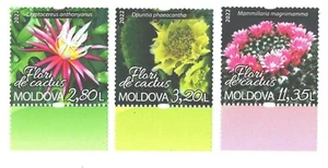 2022 , Moldova , Flora , Cactus flowers from Botanical Garden, set , MNH - Picture 1 of 1