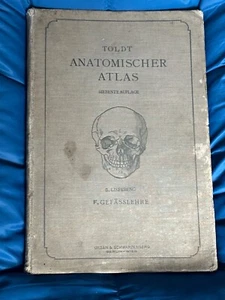 Anatomischer Atlas, by Dr Carl Toldt, Cardback Book, 7th Ed, 1911, German Text - Picture 1 of 7