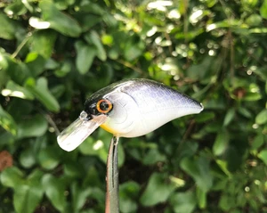 SPEEDBAITS Custom Airbrushed LC 1.5 Squarebill Crankbait - Picture 1 of 13
