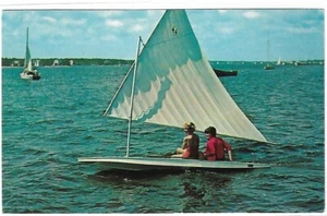 "Cartolina vintage - Vela in un ""Pesce vela" - Foto 1 di 2