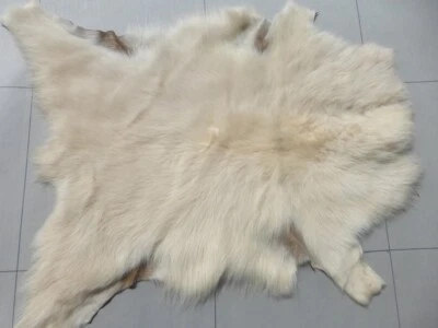 sheepskin leather Toscana hide Cream Long  Thick silky hair w/Coffee suede back - Image 1 of 4