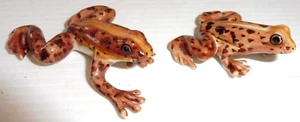 KLIMA E286 Miniature statuette en porcelaine - GRENOUILLES DES BOIS FROG - Imagen 1 de 4