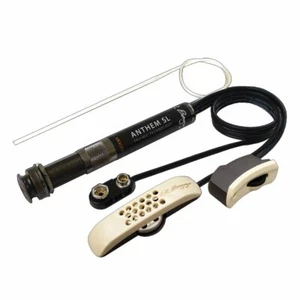 L.R. Baggs ANTHEM-SL Acoustic Guitar Pickup - Authorized Dealer - Picture 1 of 3