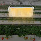 110W Led Grow Light 2×2Ft Coverage Single Switch Full Spectrum Grow Lamp Plants