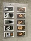 The Beatles, Rubber Soul Warus Card Collection  Set Of 10