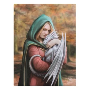 SAFE HAVEN ANNE STOKES SMALL CANVAS PICTURE ART PRINT BABY DRAGON PRINCESS GOTH - Picture 1 of 2