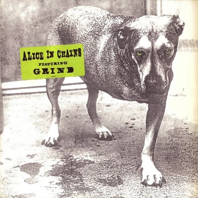 Alice In Chains - Alice In Chains (2xLP, Album, Gat) (Very Good (VG)) - 38565026 - Image 1 of 4