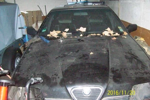 Alfa Romeo 164 2 Lieter Twin Spark - Bild 1 von 2