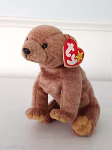 TY Beanie Baby Pecan - The Bear - Retirado - 1999 - NUEVO - Imagen 1 de 8