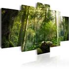 FOREST NATURE Canvas Print Image Photo Wall Art  c-A-0092-b-m