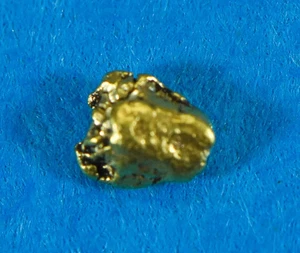 Alaskan-Yukon BC Gold Rush pepita d'oro naturale 0,08 grammi originale - Foto 1 di 7