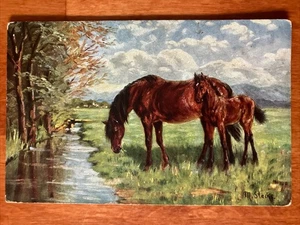 Pferde m. Stocks antike Postkarte RA - Bild 1 von 2