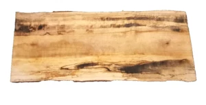SPALTED MYRTLEWOOD BLANK TURNING CRAFTING WOODWORKING APPROX 21.5x8.5x1 IN - Picture 1 of 2
