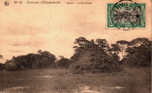 Congo Environs d'Elisabethville Dembo et Termitières Vintage Postcard B274 - Picture 1 of 2