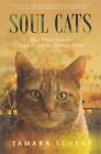 Soul Cats How Our Feline Friends Teach Us To Live From The Heart 9781641466837