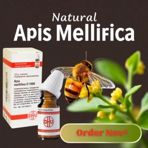 Apis mellifica D1000 Apis mellifica x 10 g DHU - Bild 1 von 4