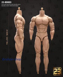 23TOYS BD003 1/6 Male 27.5cm Tall Strong Muscular Body 12''Figure Joint Model - Picture 1 of 4