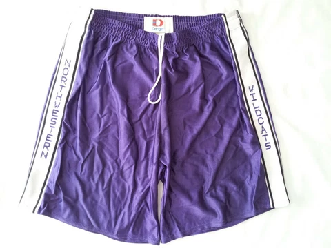 VINTAGE MADE IN USA DODGER NORTHWESTERN WILDCATS BASKETBALL GAME SHORTS SIZE XL Cover