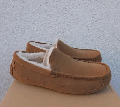 UGG ASCOT CHESTNUT SUEDE/ SHEEPWOOL SLIPPERS, MEN US 9/ EUR 42 ~ RUN SMALL ~NEW - Image 1 of 4