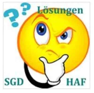 HAF SGD ILS FEB Lösungen ESA für stattlich geprüften Mechatronik Techniker������ - Bild 1 von 1